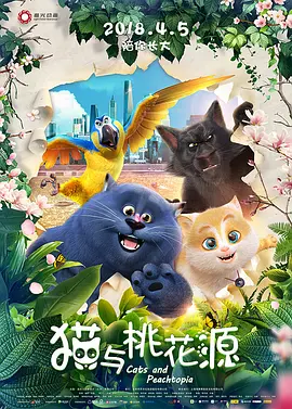 一级片视频播放