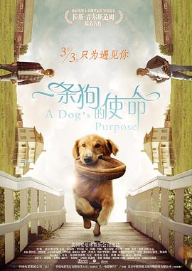 国产一区二区三区的电影