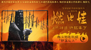 av电影免费在线播放