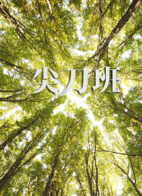 亚洲a成人